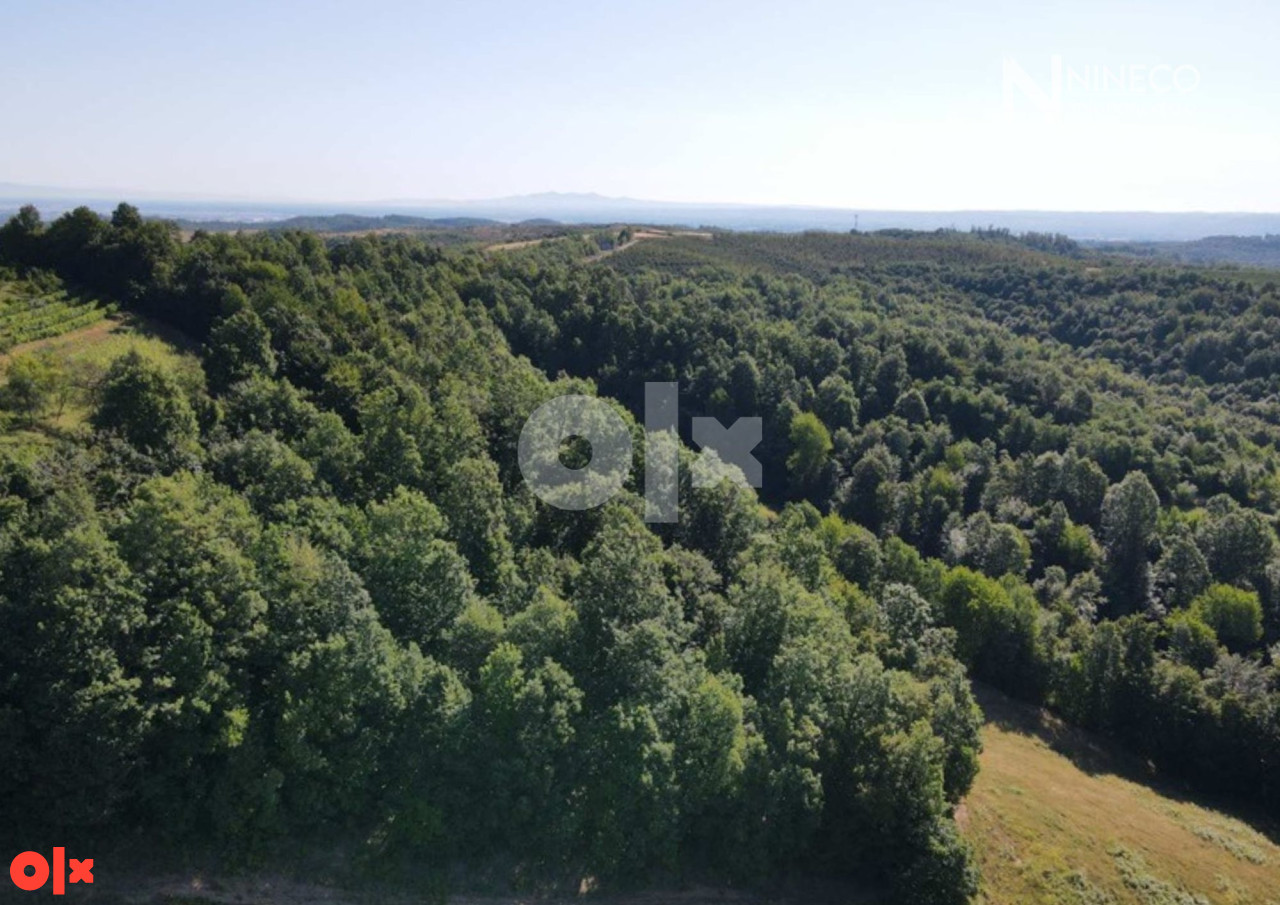 ZEMLJIŠTE I ŠUMA - RIJEČANI - 41.764 m2 (opština Laktaši) 2