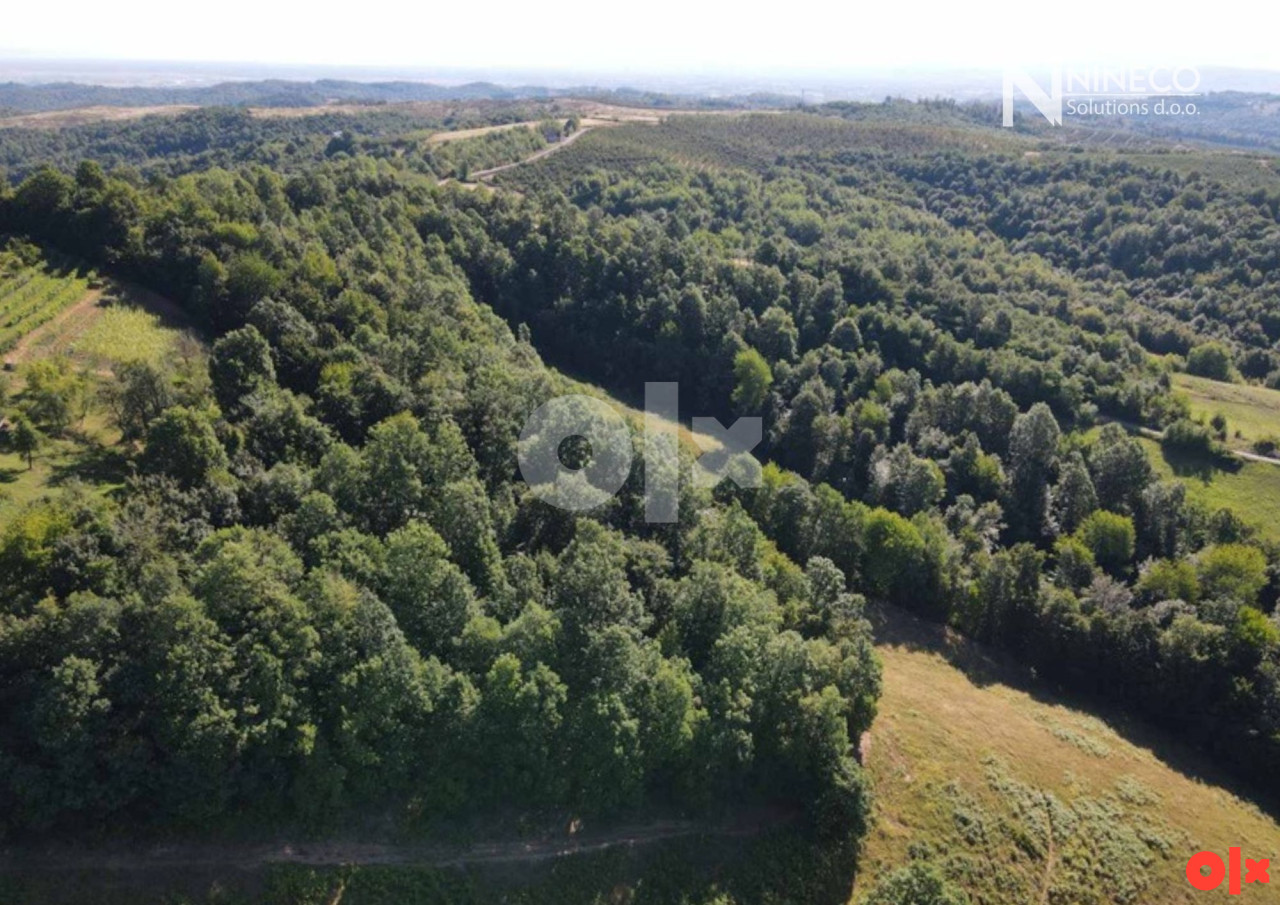 ZEMLJIŠTE I ŠUMA - RIJEČANI - 41.764 m2 (opština Laktaši) 3