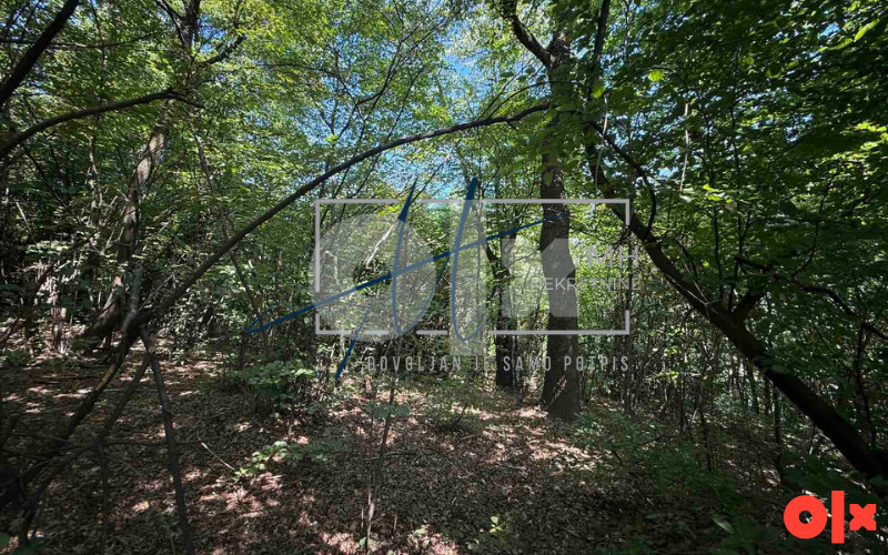 Visoko | Zemljište 9.773m2 7