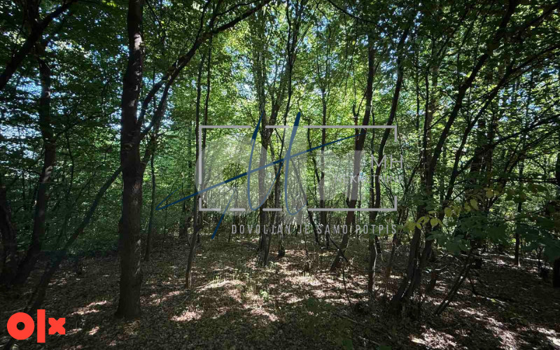Visoko | Zemljište 9.773m2 9