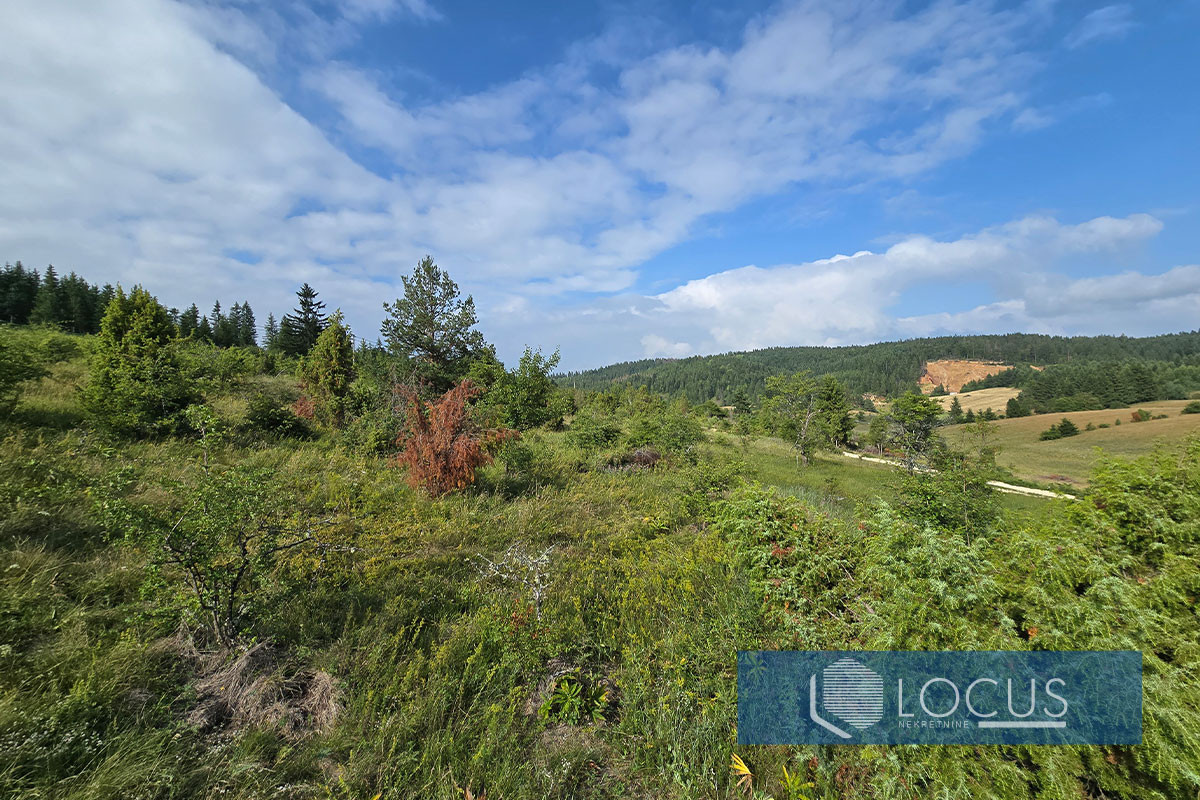 LOCUS: Zemljište 3.574m2, Šabanci, Nišići 5