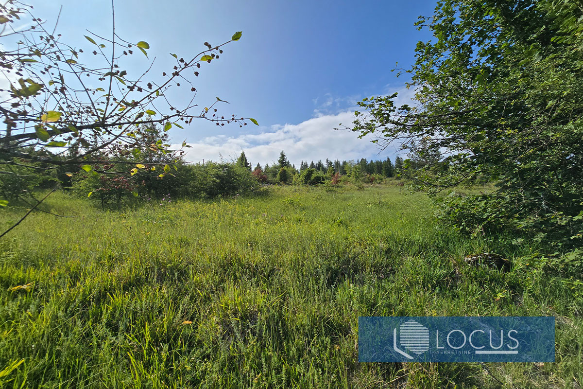LOCUS: Zemljište 3.574m2, Šabanci, Nišići 7