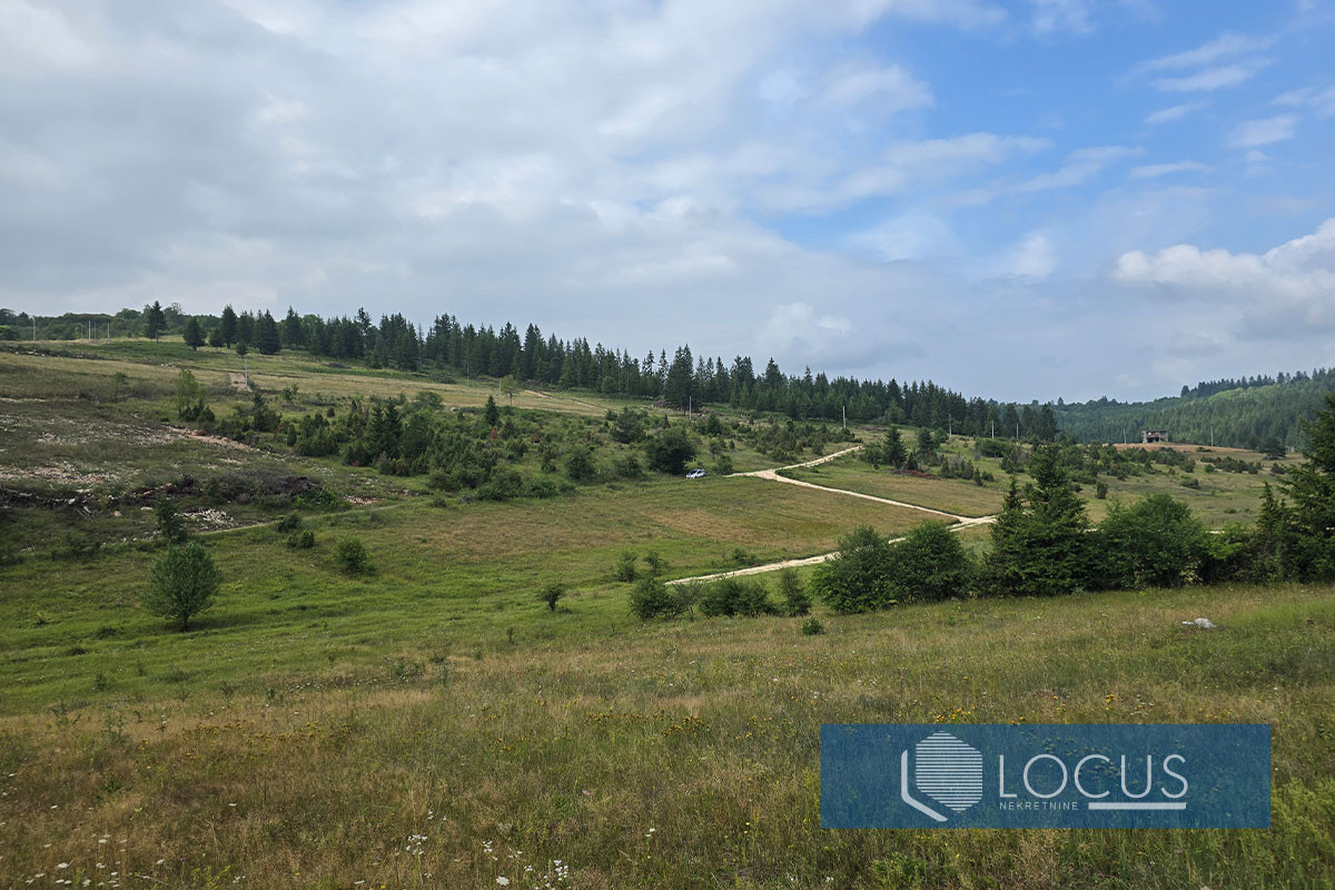 LOCUS: Zemljište 3.574m2, Šabanci, Nišići 8