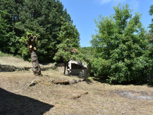 Imanje sa dvije kuće u Gornjem Vardištu photo 5