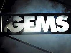 IGEMS 2022 (Metal Sheet Software)
