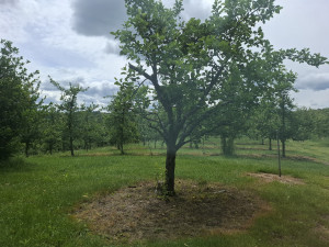 Zemljište, Gornji Lukavac