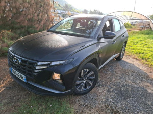 HYUNDAI TUCSON 1.6 CRDI 136KS BUSINESS  AUTOMATIK 2023 G