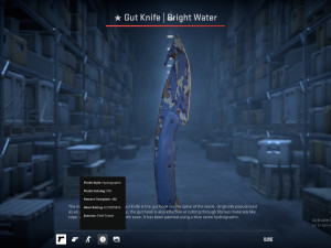 cs2 csgo skin skinovi gut knife bright water