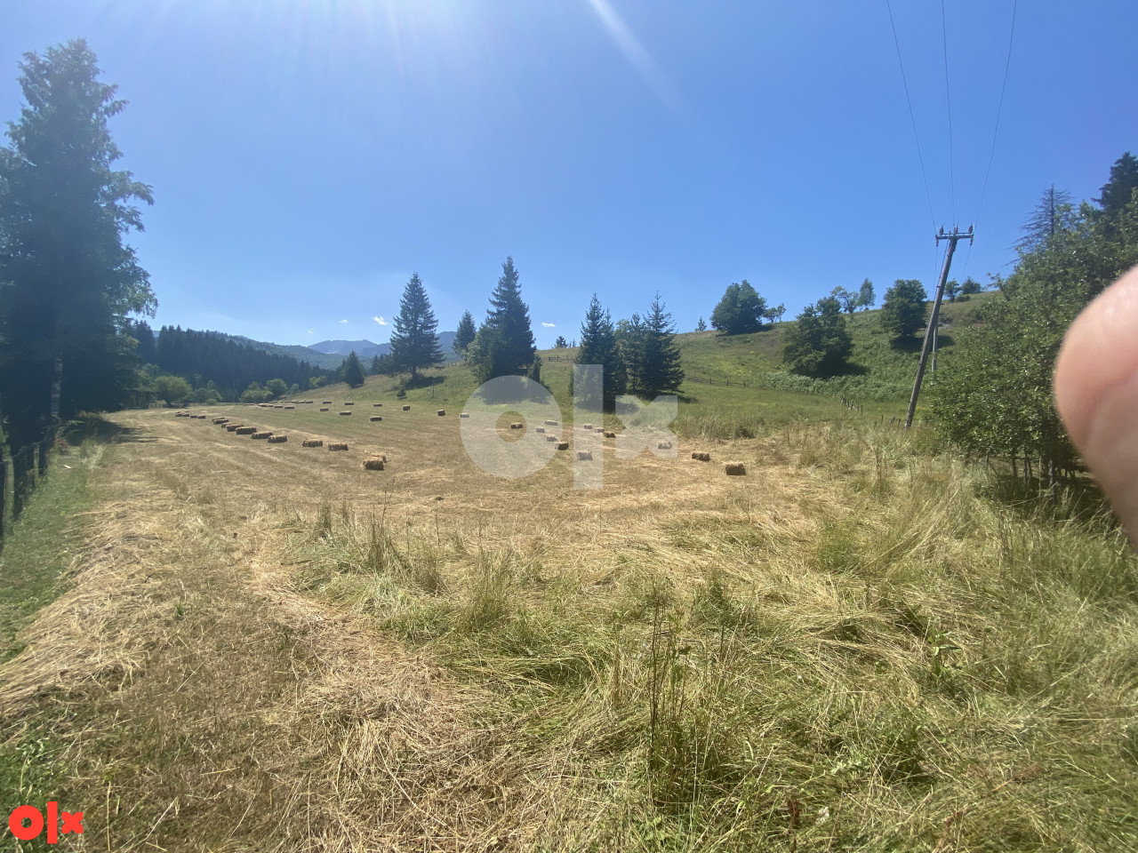 Zemljište Rajski do, Trnovo 5