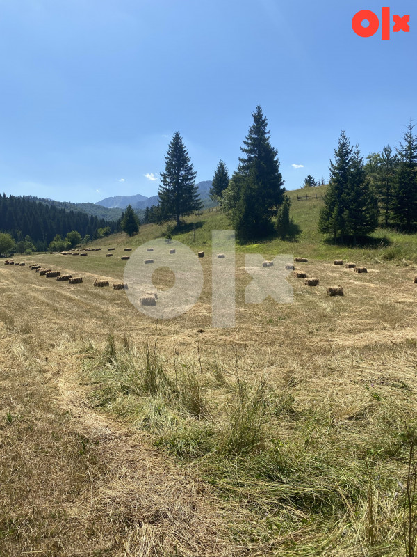 Zemljište Rajski do, Trnovo 6