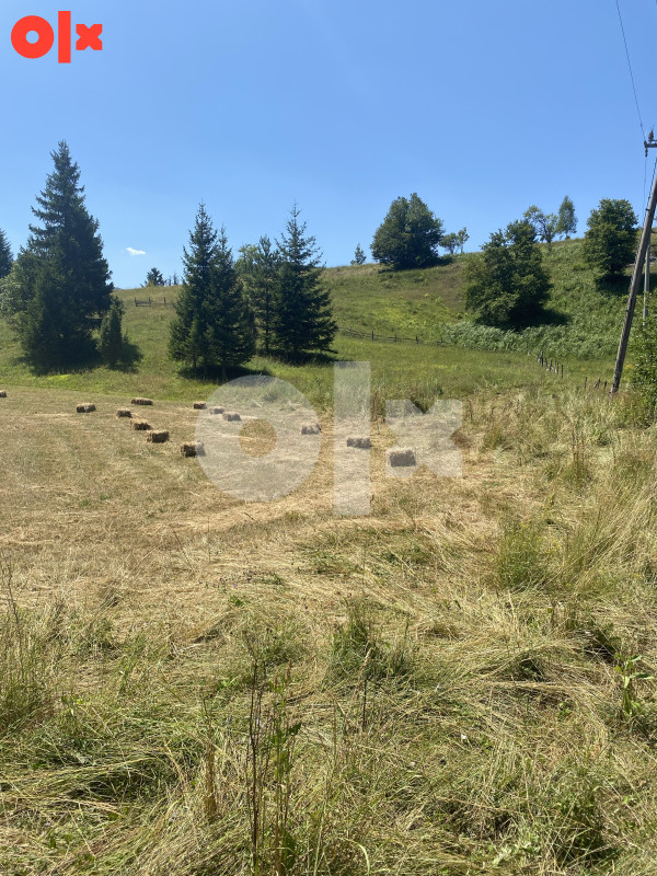 Zemljište Rajski do, Trnovo 7