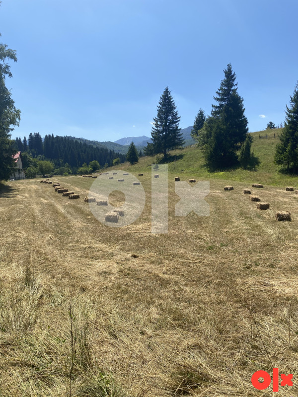 Zemljište Rajski do, Trnovo 9