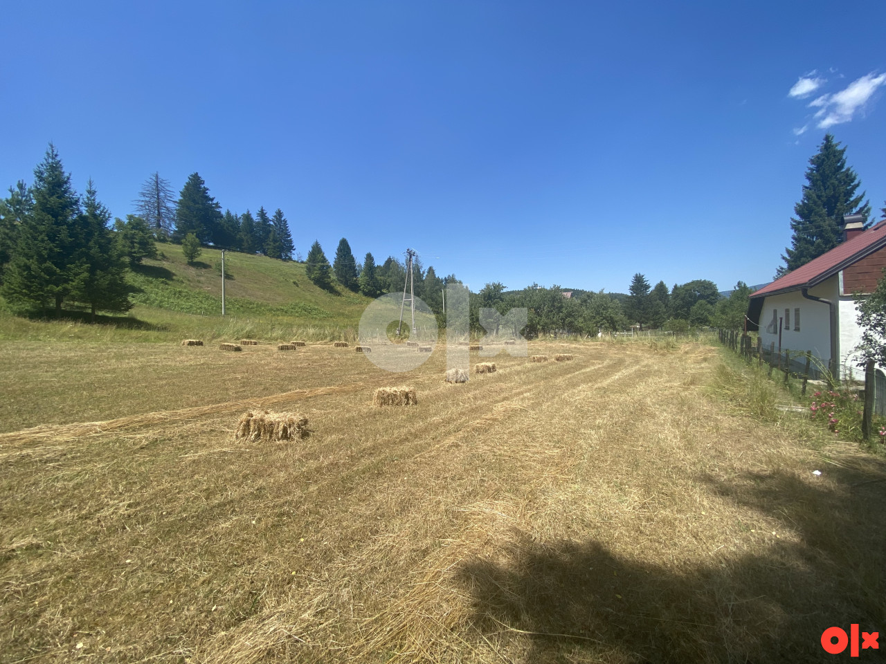 Zemljište Rajski do, Trnovo 12