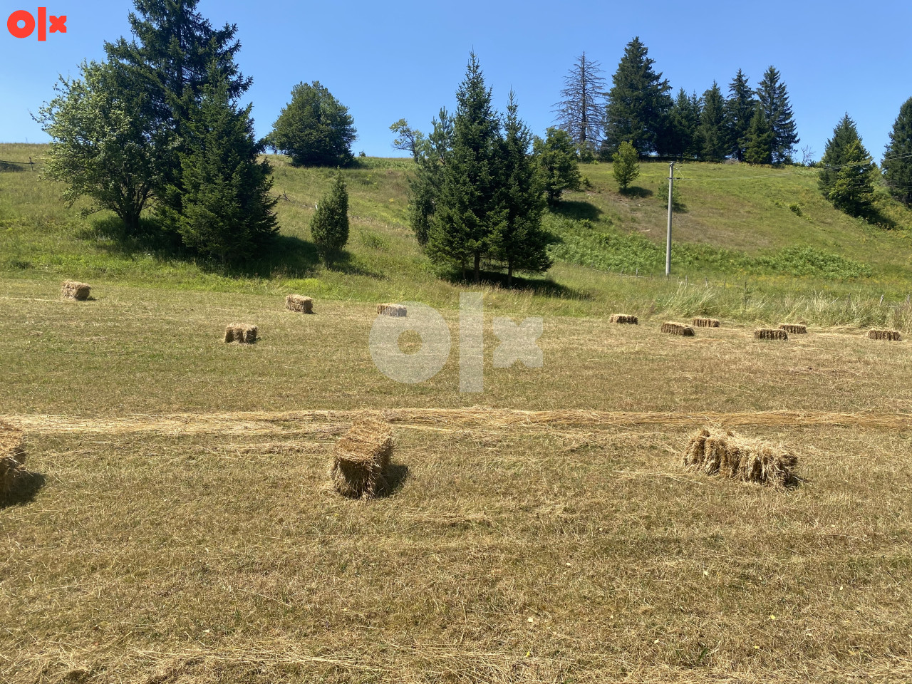 Zemljište Rajski do, Trnovo 14