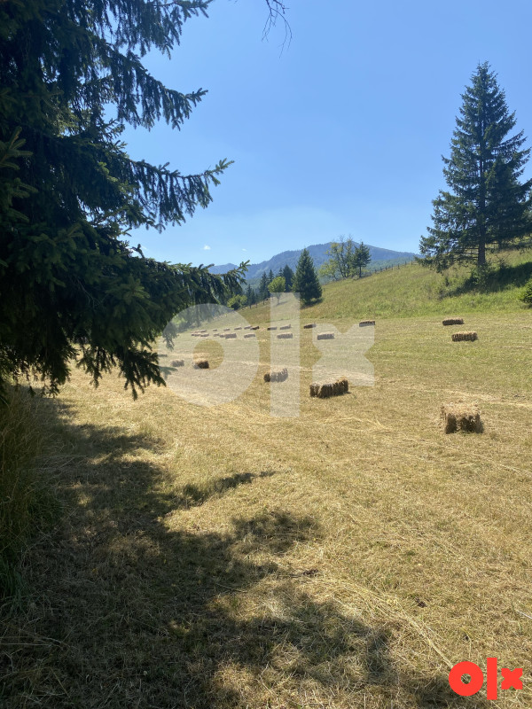 Zemljište Rajski do, Trnovo 16