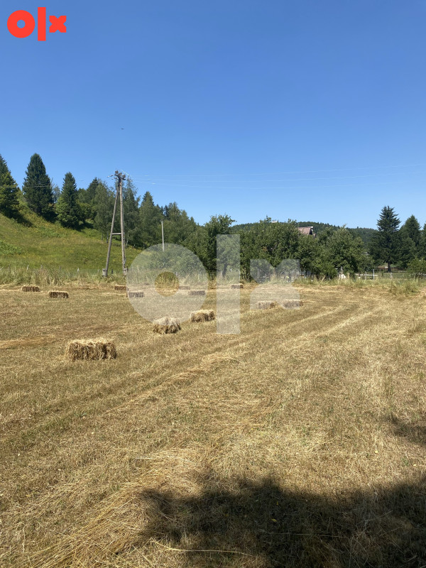 Zemljište Rajski do, Trnovo 18