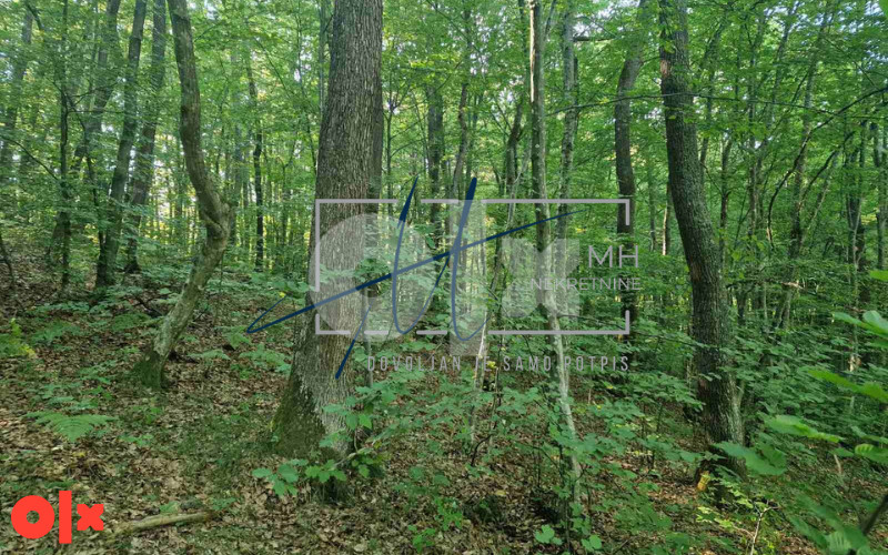 Rakovica | Vikendica i zemljište 7.616m2 | Općina Ilidža 17