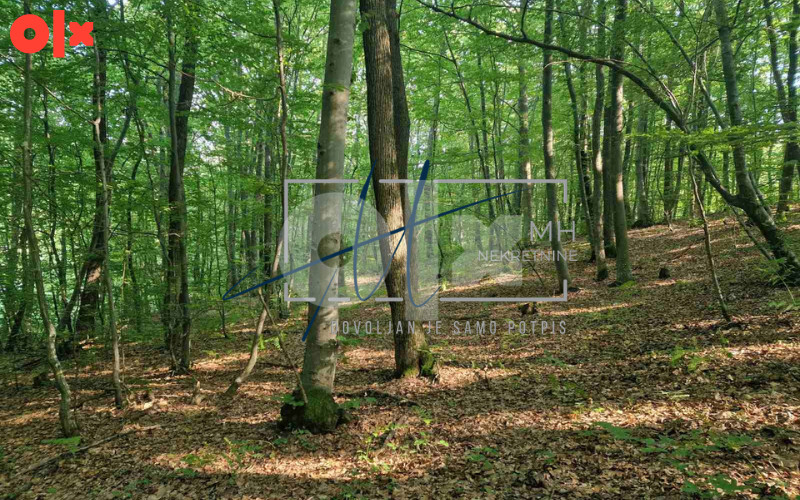 Rakovica | Vikendica i zemljište 7.616m2 | Općina Ilidža 18