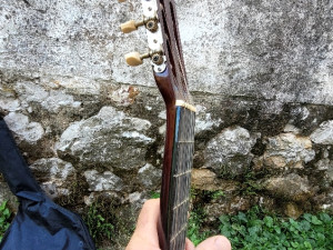 Gitara ariana akusticna