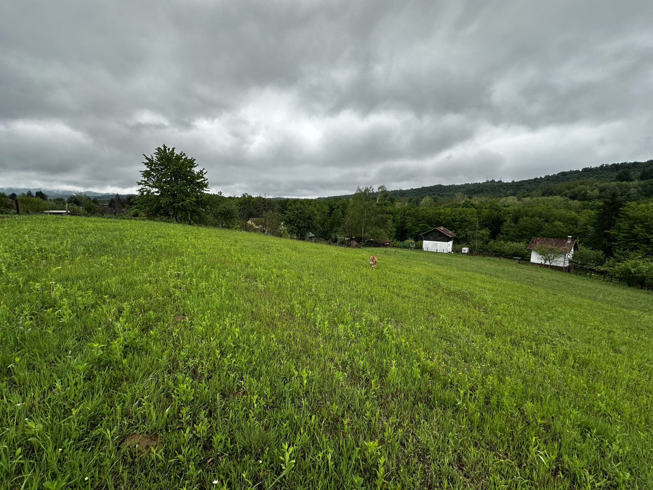 Zemljište u Slatini -Petra Pecije - 14.048 m2 5