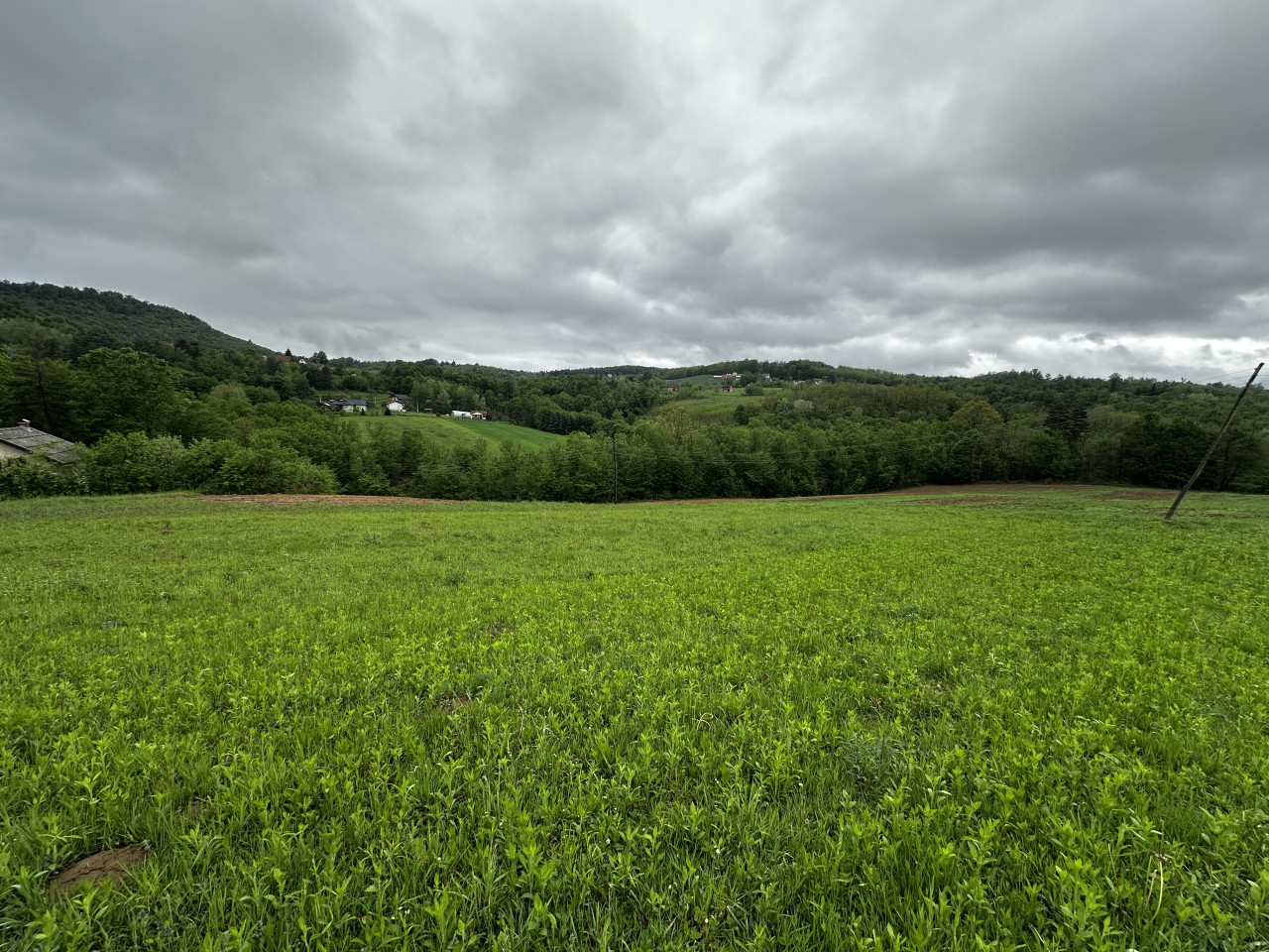 Zemljište u Slatini -Petra Pecije - 14.048 m2 7