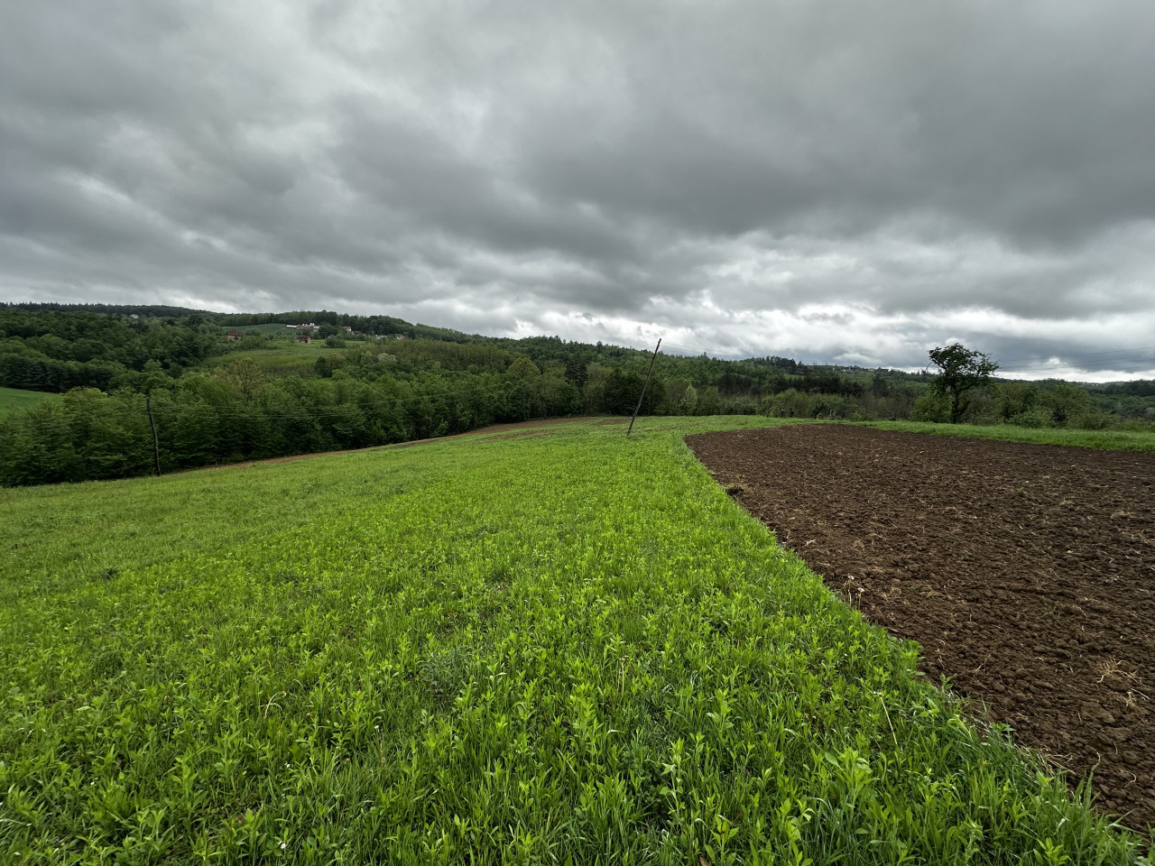 Zemljište u Slatini -Petra Pecije - 14.048 m2 8
