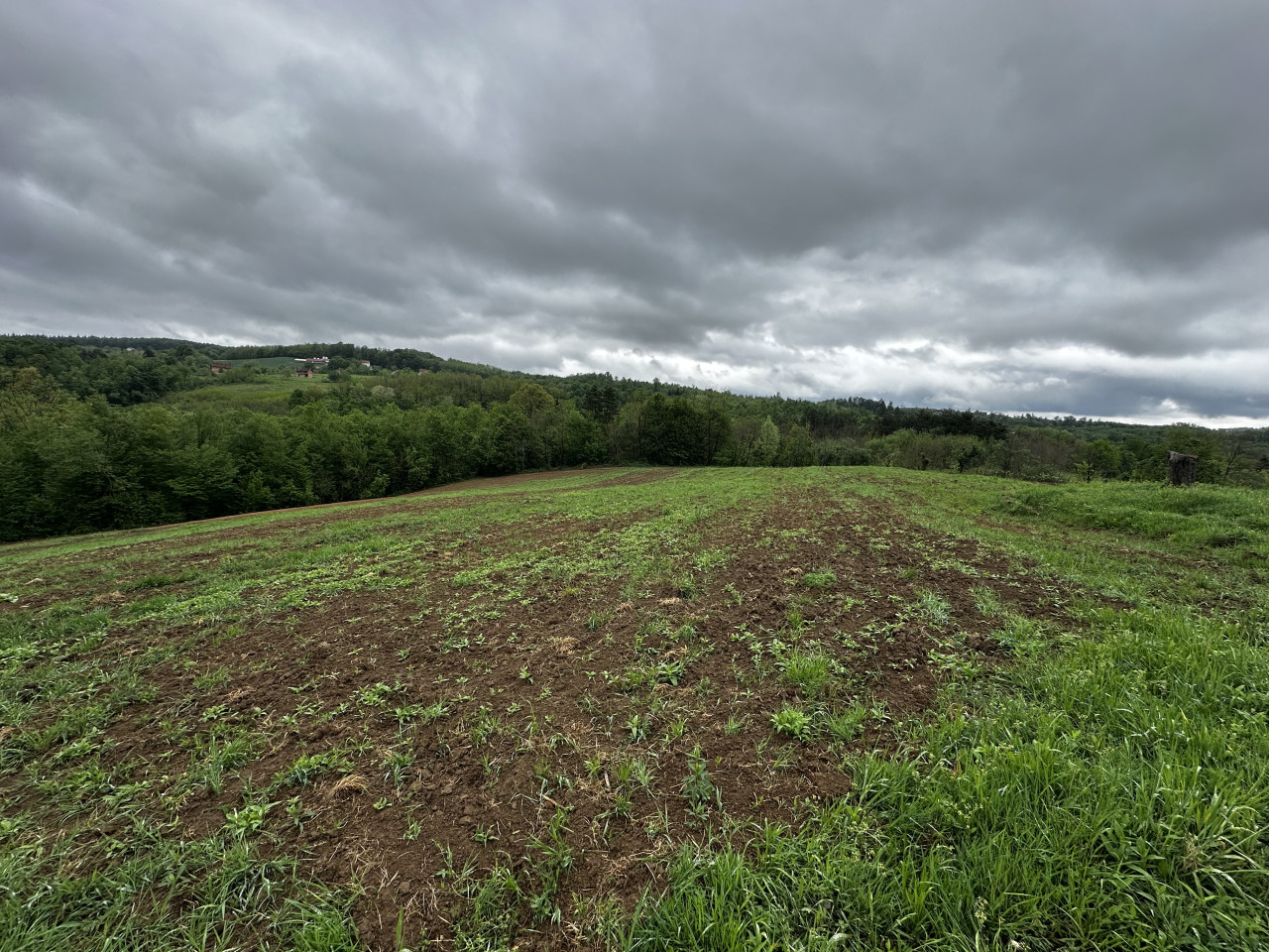 Zemljište u Slatini -Petra Pecije - 14.048 m2 10