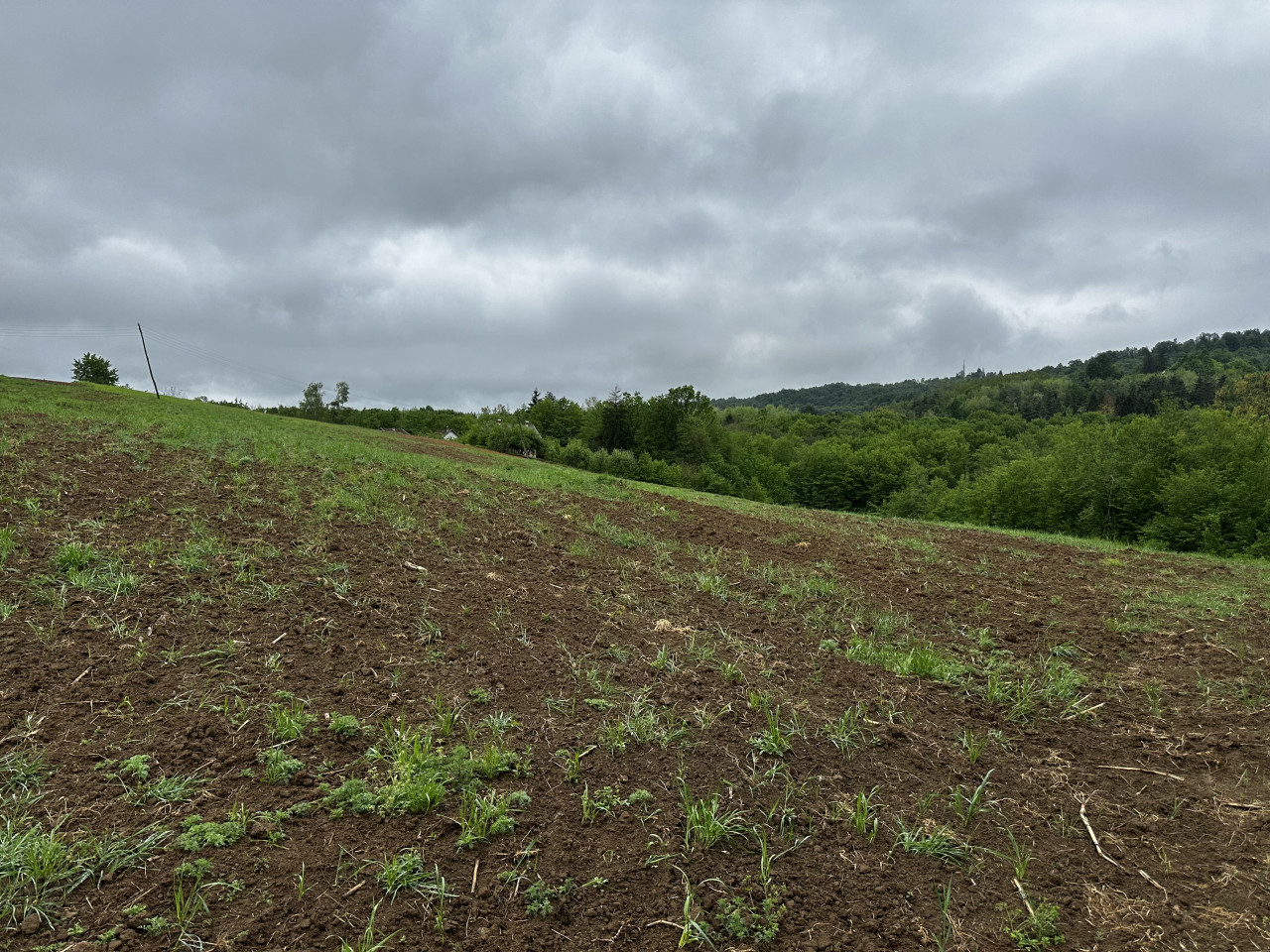 Zemljište u Slatini -Petra Pecije - 14.048 m2 13