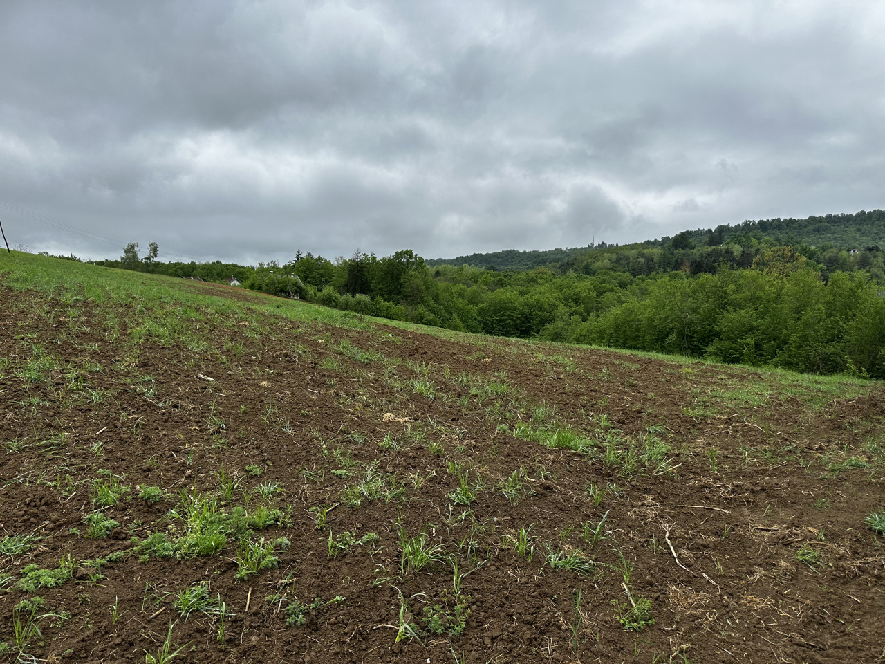 Zemljište u Slatini -Petra Pecije - 14.048 m2 14