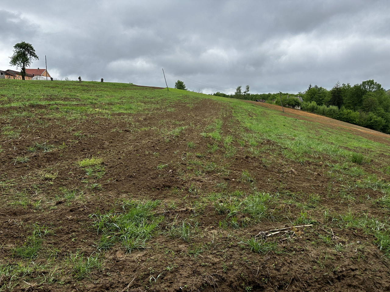 Zemljište u Slatini -Petra Pecije - 14.048 m2 15