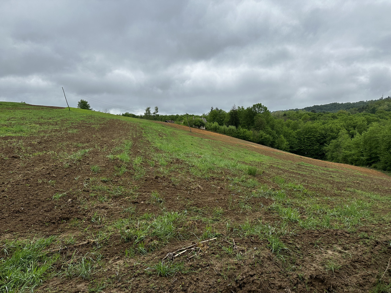 Zemljište u Slatini -Petra Pecije - 14.048 m2 16