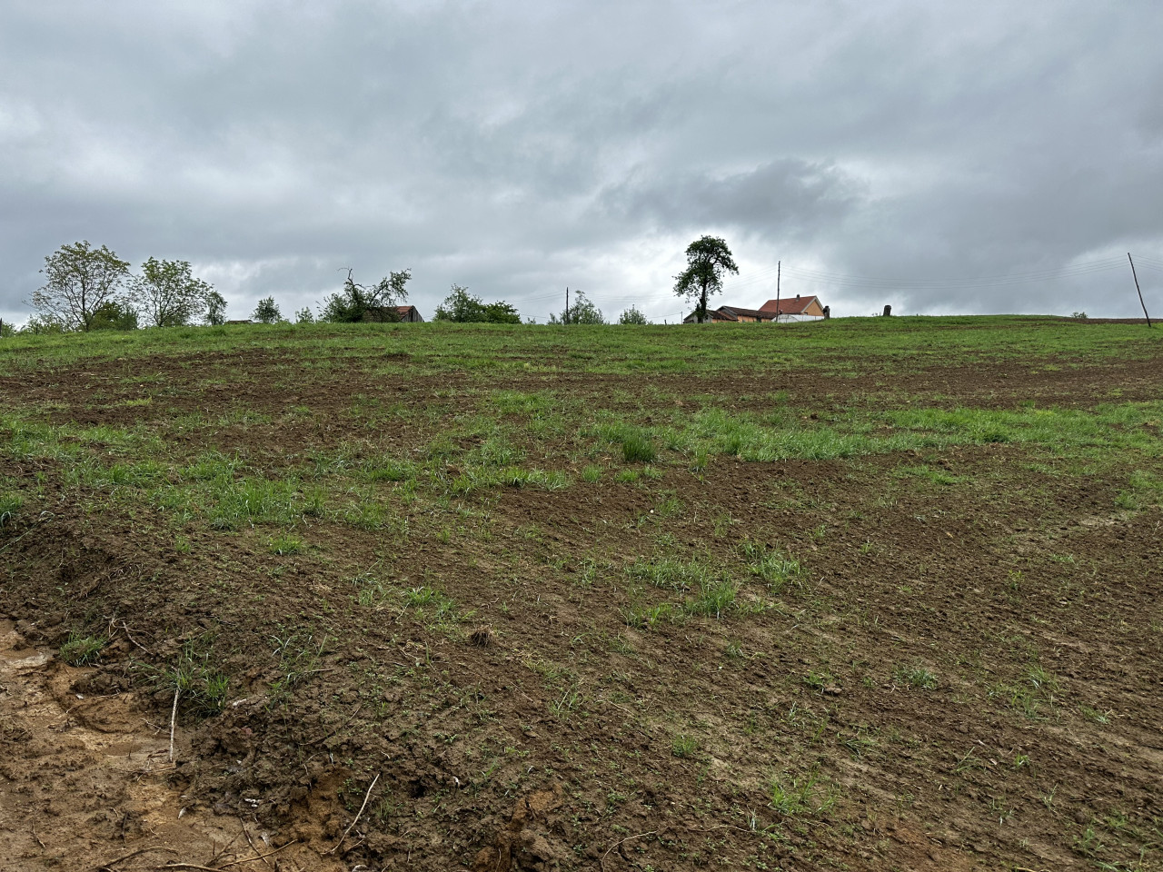 Zemljište u Slatini -Petra Pecije - 14.048 m2 17