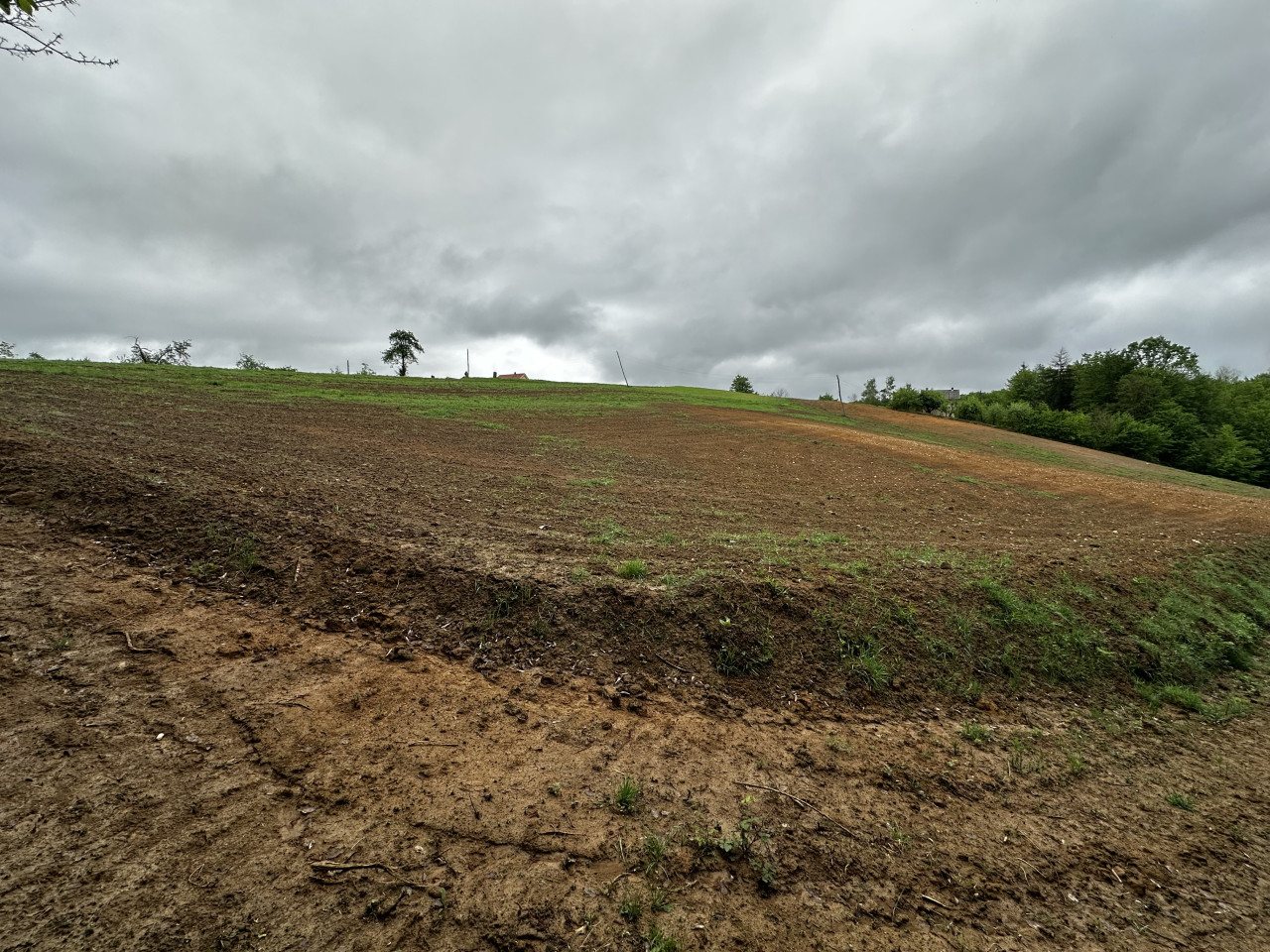 Zemljište u Slatini -Petra Pecije - 14.048 m2 19
