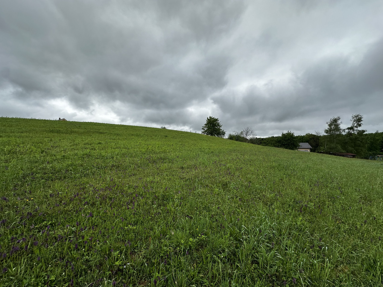 Zemljište u Slatini -Petra Pecije - 14.048 m2 23