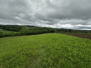Zemljište u Slatini -Petra Pecije - 14.048 m2