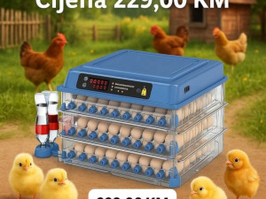 Inkubator za jaja 192 komada automatski