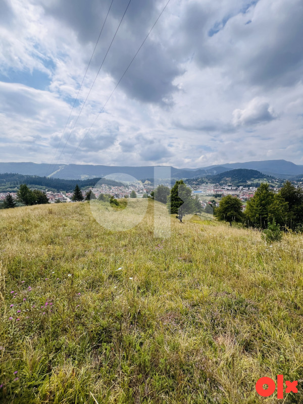 Zemljište Pale 12500m2 3