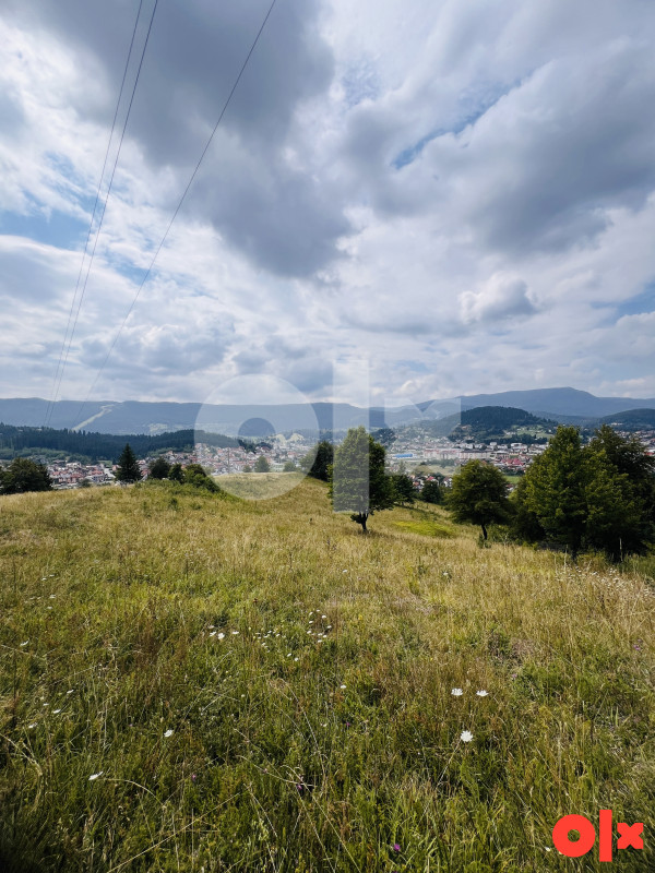 Zemljište Pale 12500m2 4