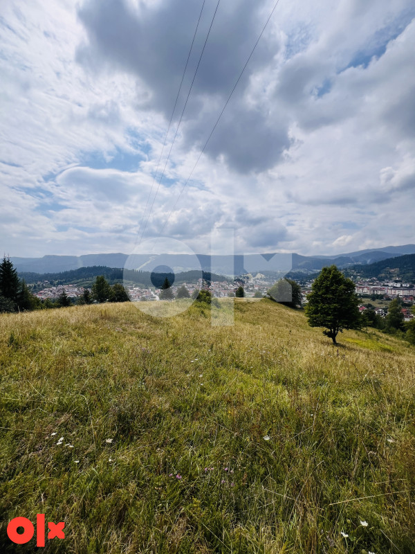 Zemljište Pale 12500m2 6