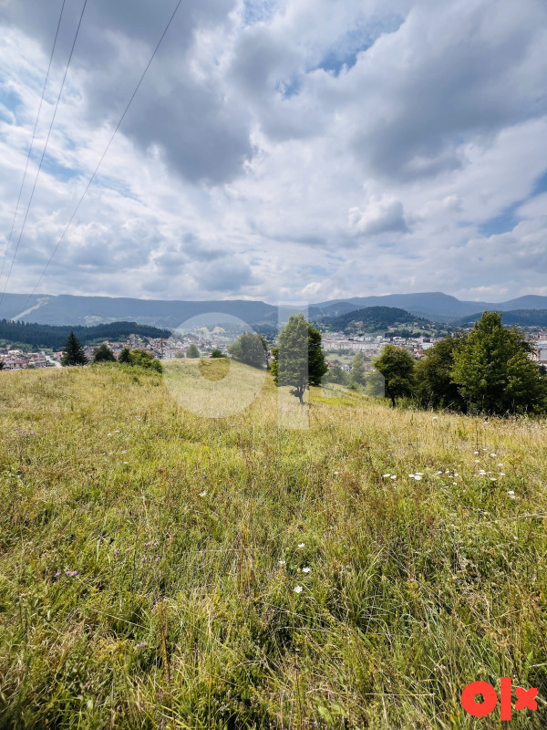 Zemljište Pale 12500m2 7