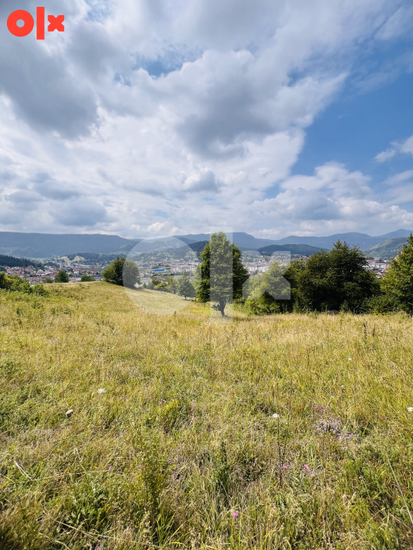 Zemljište Pale 12500m2 8