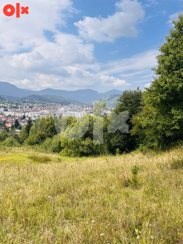 Zemljište Pale 12500m2 9