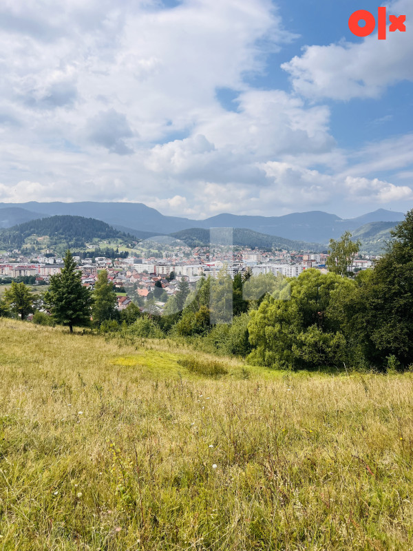 Zemljište Pale 12500m2 2