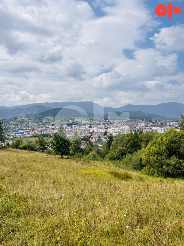 Zemljište Pale 12500m2 5