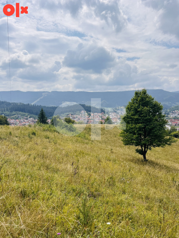 Zemljište Pale 12500m2 10