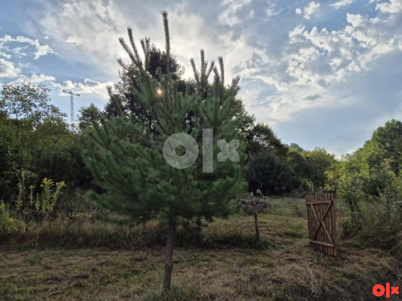 Zemljište Prnjavor 4400m2 Pored izvora Dobra Voda 3