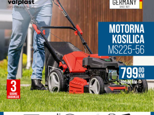 Scepacch kosačice SUPER AKCIJA