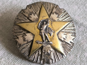 Orden zasluga za narod sa srebrnom zvijezdom - zvezdom SFRJ