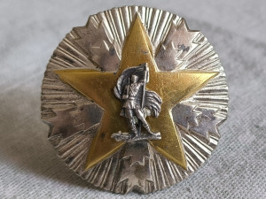 Orden zasluga za narod sa srebrnom zvijezdom - zvezdom SFRJ