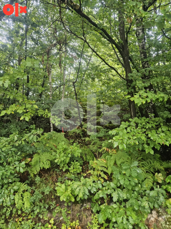 Zemljište Kiseljak Kobiljaca 8